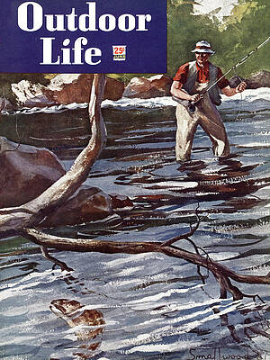 Wall Art - Drawing - Outdoor Life Magazine Cover June 1948 by Outdoor Life