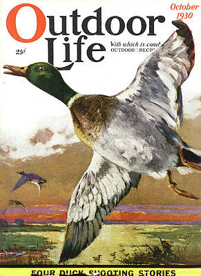 Wall Art - Painting - Outdoor Life Magazine Cover October 1930 by Outdoor Life
