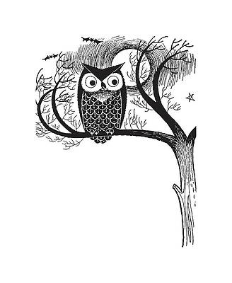 Wall Art - Drawing - Owl in Tree by CSA Images