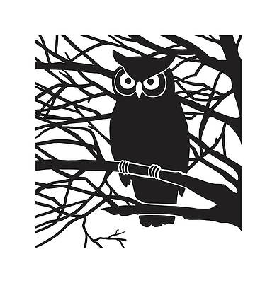 Wall Art - Drawing - Owl Perched in a Tree by CSA Images