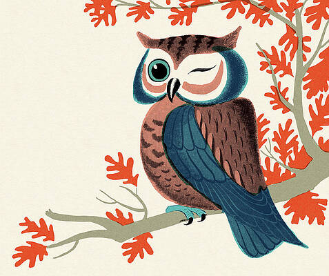 Wall Art - Drawing - Owl Winking by CSA Images
