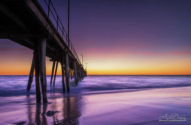 P O R T by Andrew Dickman P O R T by Andrew Dickman