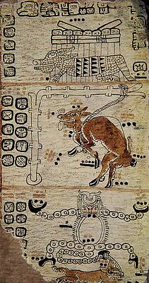 Wall Art - Drawing - Page of the Tro-Cortesianus Codex. Facsimile. Page of the Tro-Cortesianus Codex. Mayan Culture. by Album