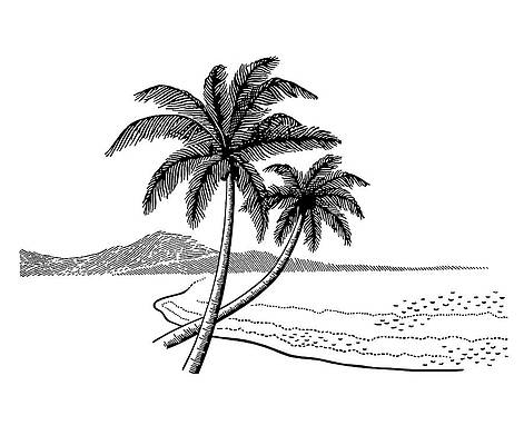 How to draw simple scenery drawing of beach step by step  pencil sketch  easy  YouTube