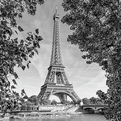 PARIS Eiffel Tower and River Seine - Monochrome by Melanie Viola PARIS Eiffel Tower and River Seine - Monochrome by Melanie Viola