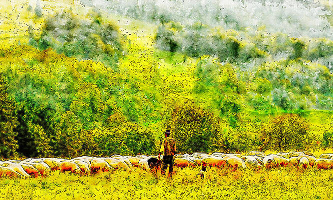Pastor sheep watercolor drawing by Hasan Ahmed Pastor sheep watercolor drawing by Hasan Ahmed