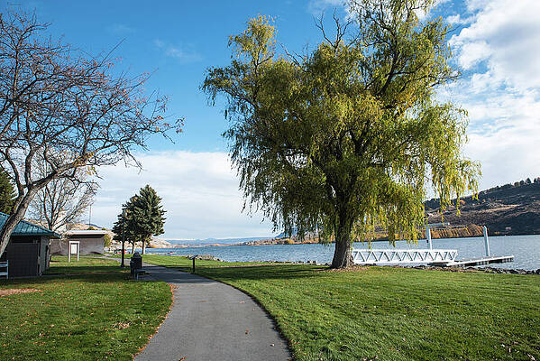 Wall Art - Photograph - Pateros Park Path by Tom Cochran
