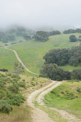 Wall Art - Photograph - Path into Stillness by Alexander Kunz