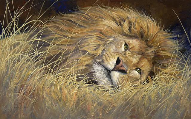 Peaceful King by Lucie Bilodeau Peaceful King by Lucie Bilodeau