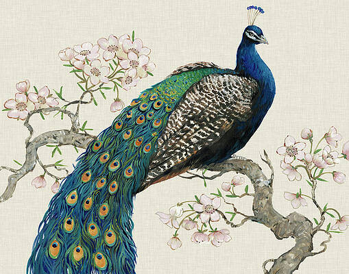 Peacock Paintings (Page #9 of 79) | Fine Art America