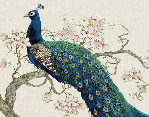 Peacock Paintings (Page #24 of 35) | Fine Art America