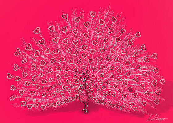 Valentine Peacock by David Burgess Valentine Peacock by David Burgess