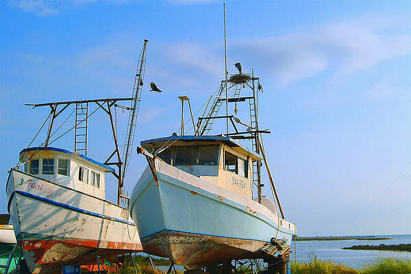 Rockport Texas Art Page 7 Of 9 Fine Art America