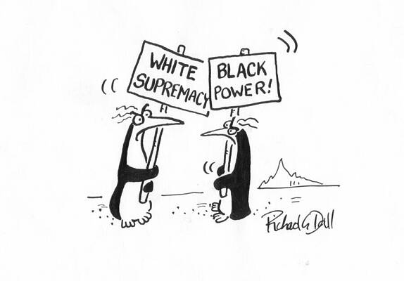Wall Art - Drawing - Penguin Racists by Richard Dall
