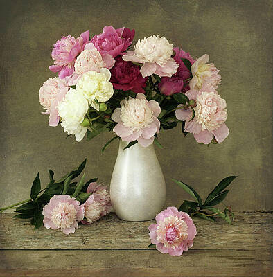 Flower Vase Photos for Sale 