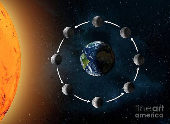 Wall Art - Photograph - Phases Of The Moon As Seen From Space by Science Photo Library