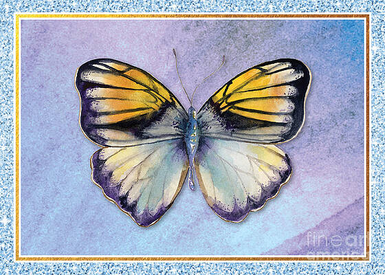 Pieridae Butterfly by Amy Kirkpatrick Pieridae Butterfly by Amy Kirkpatrick