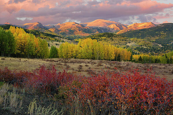 Pikes Peak - Autumn by Aaron Spong Pikes Peak - Autumn by Aaron Spong