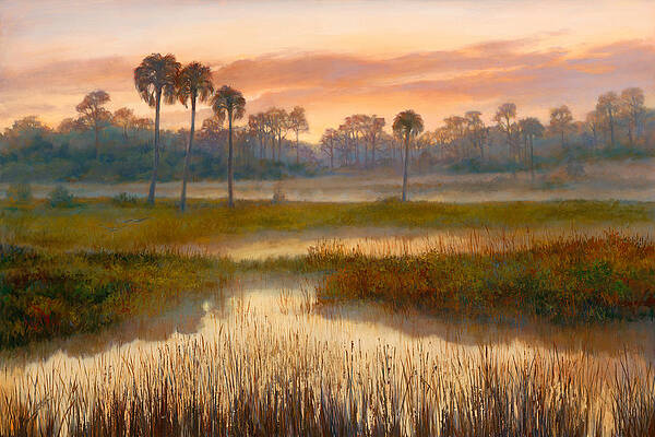 Florida Everglades Art for Sale - Fine Art America