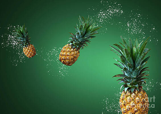 Pineapples Floating by Dania Photo