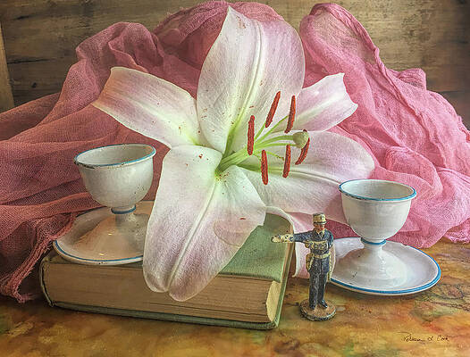 Pink Lily Still Life by Bellesouth Studio Pink Lily Still Life by Bellesouth Studio