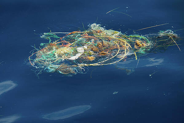Wall Art - Photograph - Plastic Netting And Rope Floating In The Ocean. Atlantic by Sergio Hanquet / Naturepl.com