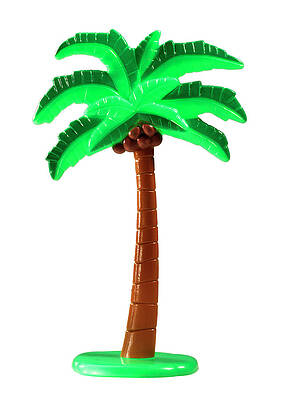 Cartoon palm tree drawing with black coconuts Vector Image