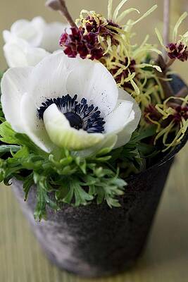 https://render.fineartamerica.com/images/images-profile-flow/400/images/artworkimages/mediumlarge/2/posy-of-anemones-and-witch-hazel-flowers-martina-schindler.jpg