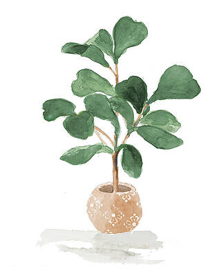 Wall Art - Painting - Potted Fiddle Fig Tree I by Lanie Loreth