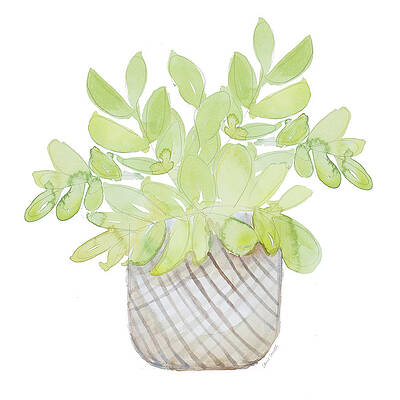 Wall Art - Painting - Potted Plant I by Lanie Loreth
