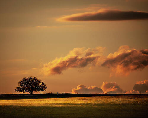 Wall Art - Photograph - Prairie Light by Jeff Phillippi