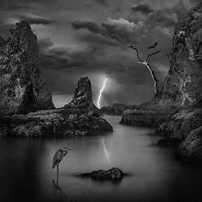 Prehistoric Time by Steve White Prehistoric Time by Steve White