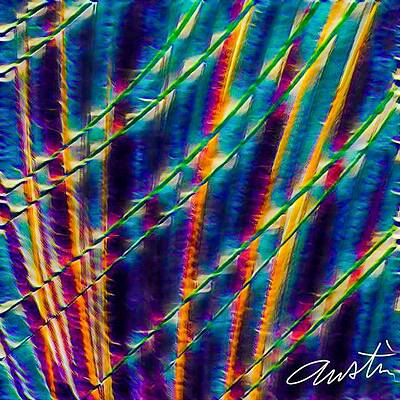 Wall Art - Digital Art - SOL by Callie Austin