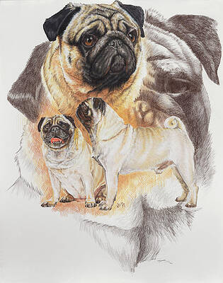 Ghost Dog Paintings Fine Art America