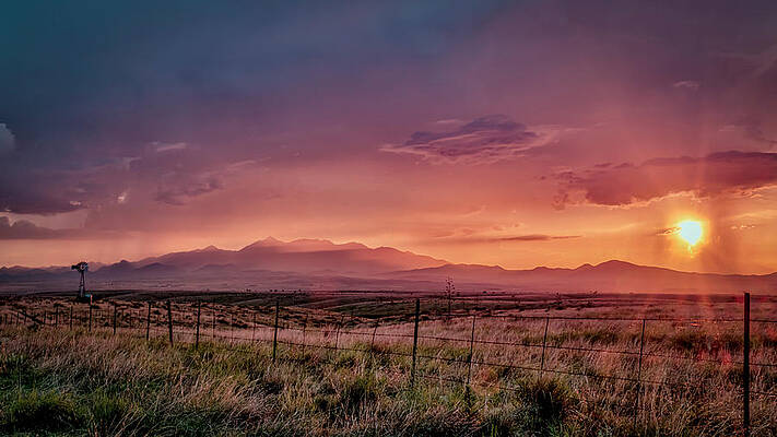 Wall Art - Photograph - Purple Mt Majesty by Laura Hedien