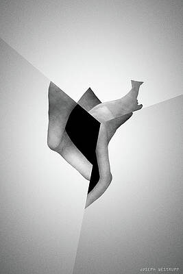 Qua Obscurant - Surreal Abstract Seashell Collage by Joseph Westrupp Qua Obscurant - Surreal Abstract Seashell Collage by Joseph Westrupp