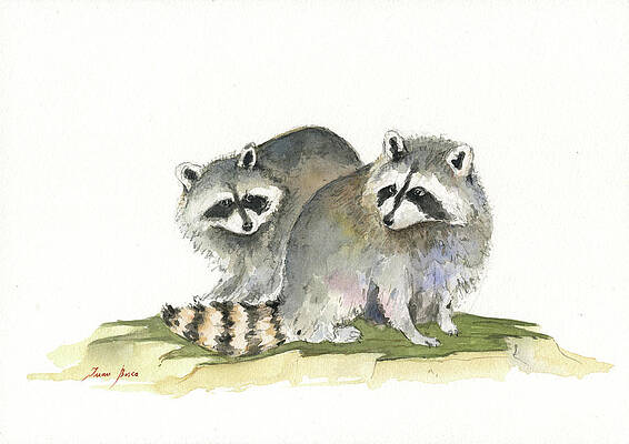 Raccoon friendship by Juan Bosco Raccoon friendship by Juan Bosco