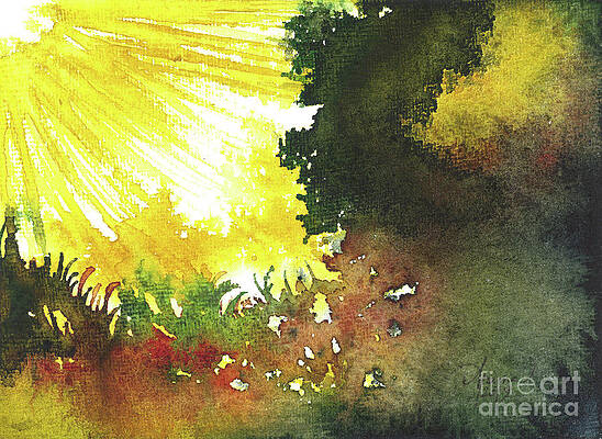 Radiance by Aparna Pottabathni Radiance by Aparna Pottabathni