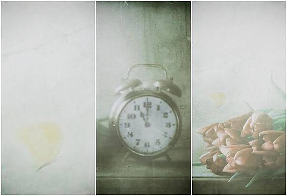 Wall Art - Photograph - Rainy Spring by Delphine Devos
