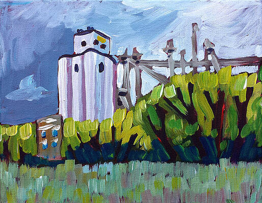 Fort Collins Paintings Fine Art America