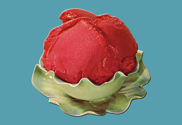 Wall Art - Painting - Raspberry Sherbert by Unknown