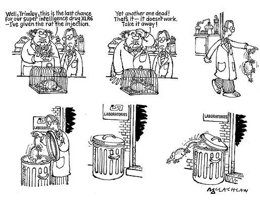 Wall Art - Drawing - Rat Fools Scientists After Being Given 'super Intelligence by Ed Mclachlan