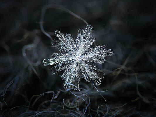 Dark snowflake collage - winter 2020-21 Acrylic Print by Alexey Kljatov -  Alexey Kljatov - Website