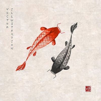 Koi Fish Art Fine Art America