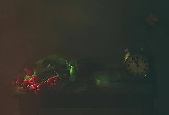 Wall Art - Photograph - Red Tulips And  Butterfly by Delphine Devos