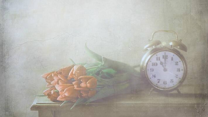 Wall Art - Photograph - Red Tulips by Delphine Devos
