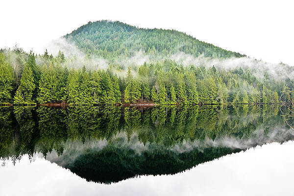 Reflections by Kaishin Chu Reflections by Kaishin Chu