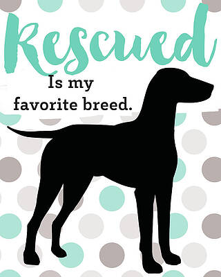 Wall Art - Drawing - Rescue Is My Favorite Breed by Rutherford Boyd