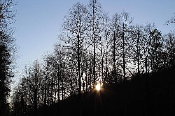 Rising Sun by Isabella Geraci Rising Sun by Isabella Geraci