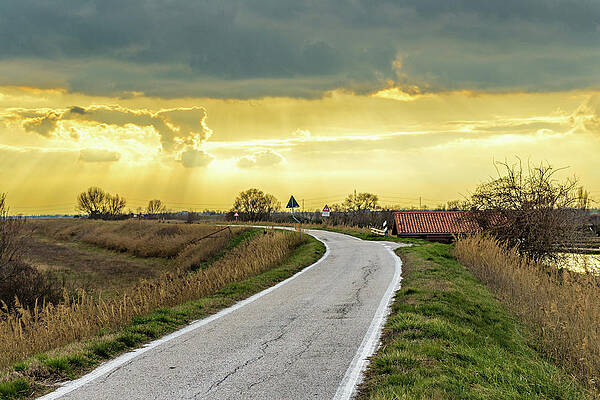Wall Art - Photograph - Road Running Under Sunset by Vivida Photo PC